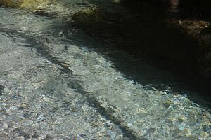 Gröbmingbach Weyern-35-2012-08-06.jpg