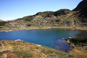 Grünsee-großsölk 1305 2013-09-25.jpg