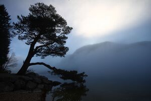 Grundlsee See 77717 2014-11-03.jpg