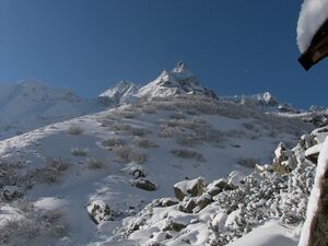 Im stegerkar 47931 2007-01-26.jpg