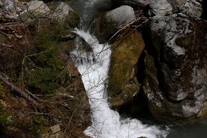 Kalte mandling030.jpg