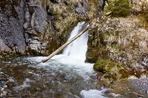 Mühlbach Lessern-12-2023-04-22.jpg
