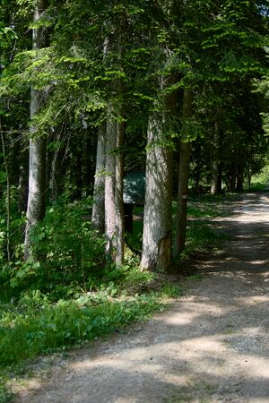 MA grasnerhalt zauchen-0056-2023-06-01.jpg