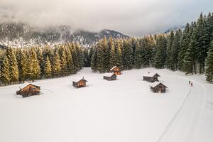 Manuel Capellari CAP2202050949191138.jpg