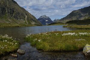 Oberer lanschitzsee 98041 2011-08-12.jpg