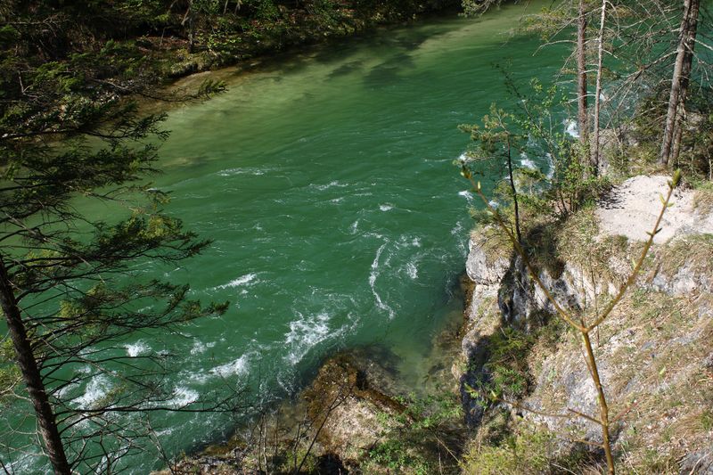 Datei:Salza palfau 70634 2018-04-23.jpg