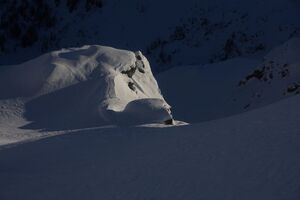 Schnabelkar 77439 2011-02-02.jpg