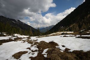 Strickerkar 55702 2014-05-02.jpg