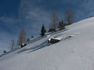 Wildkar 2494 2007-03-05.jpg