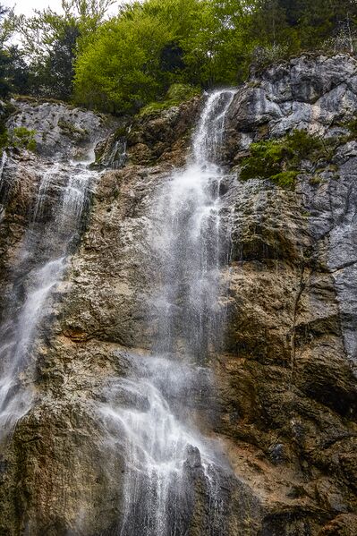 Datei:Wsf wolfbauer-405-2020-05-18-2.jpg