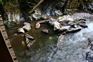 Donnersbachklamm 72860 2014-06-18.jpg