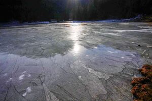 Duisitzkarsee 14309 2011-11-30.jpg