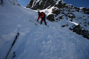 Elendbergrinne 2772 2009-04-25.jpg