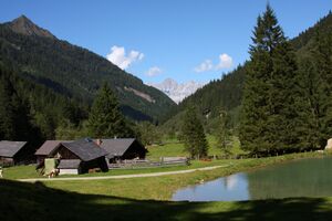 Faslalm-preuneggtal 36267 2011-09-10.jpg