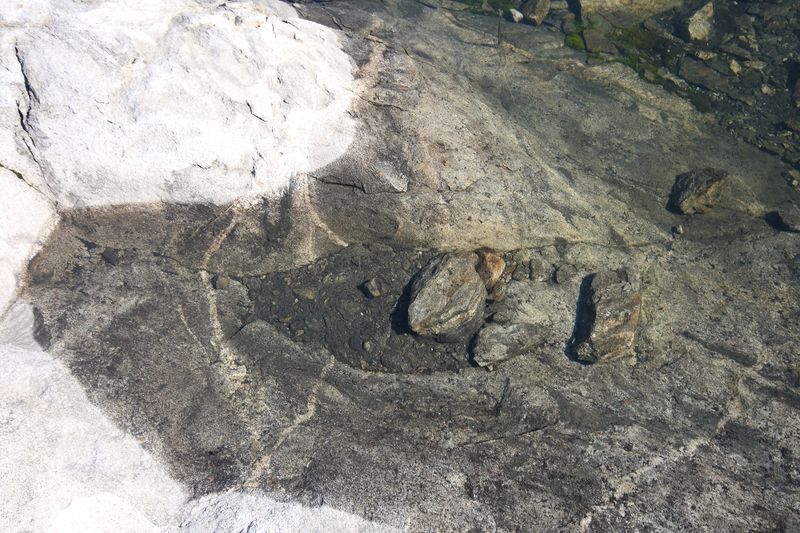 Datei:Goldlacken 0397 2008-08-12.jpg