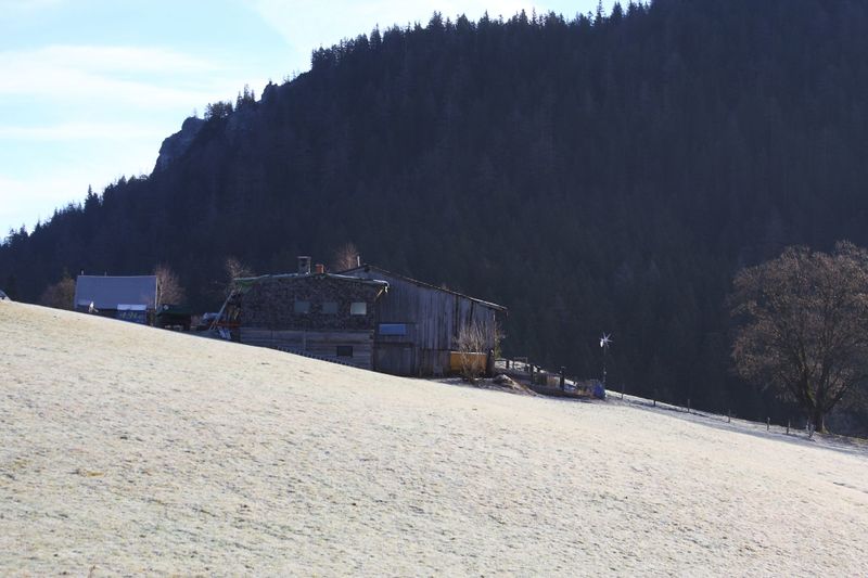 Datei:Halseralm-rittis 80004 2014-12-05.jpg