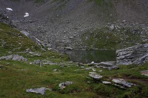Knappensee westliche-14-2014-08-07.jpg