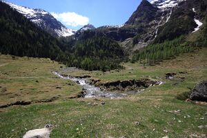 Sattental 45879 2017-05-19.jpg