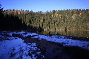 Spechtensee 62912 2017-10-31.jpg