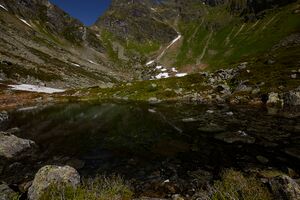 Stegerkarsee-2010-2021-06-21.jpg