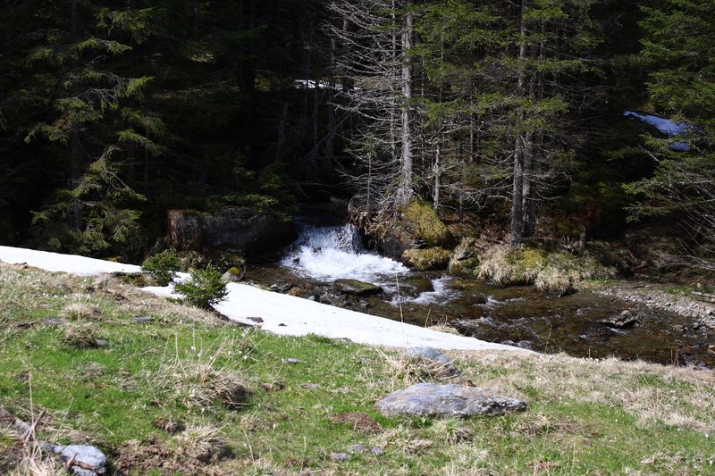 Datei:Strickerbach im strickerkar 55467 2014-05-02.jpg