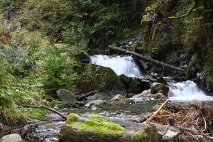 Teufelsschlucht Seewigtal 73366 2014-10-02.jpg
