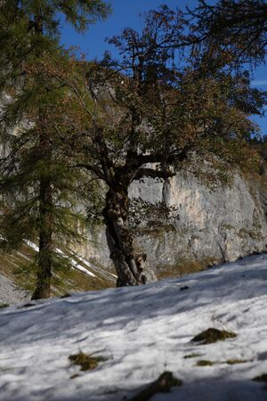 Vorderer lahngangsee 37796 2011-10-16.jpg
