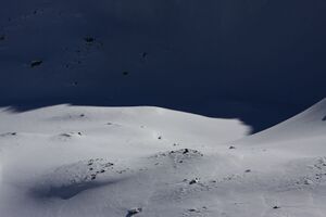 Wildkar 44993 2014-03-09.jpg