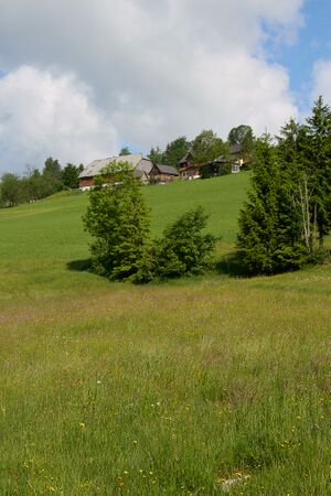 Zandl vlg pollmann-0221-2023-06-09.jpg