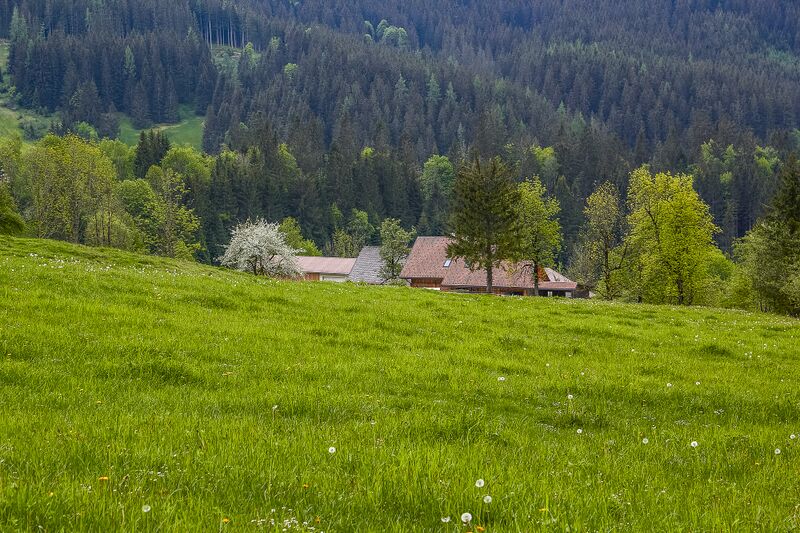 Datei:BH wolfbauer johnsbach-2000-2020-05-18-2.jpg
