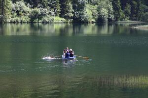 Bodensee seewigtal 63435 2014-06-21.jpg