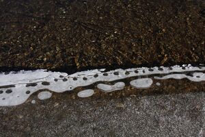 Duisitzkarsee 14336 2011-11-30.jpg