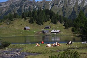 Duisitzkarsee 15126 2011-08-28.jpg