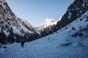 Eiblalm steinriesental 59773 2013-03-28.jpg