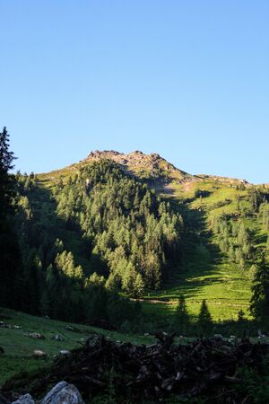 Farmrieseck herzmaierkar-11-2012-07-09.jpg