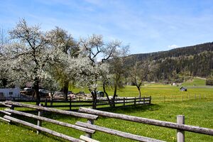 Gaisberger vlg. Pfeifer lassing-300419-2023-05-04.jpg