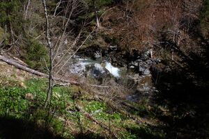 Kalte mandling024.jpg