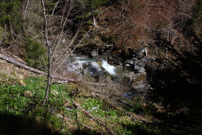 Datei:Kalte mandling024.jpg