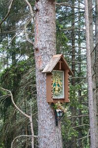 MA 4 Kirchweg pürgg-0297-2023-05-27.jpg