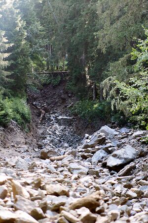 Mure untertal waldhäusl-0103-2023-07-13.jpg