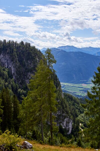 Datei:Niedertausing-bärenfeichtenalm-31-2021-08-03.jpg