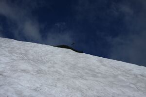 Seekoppe 73956 2014-06-26.jpg