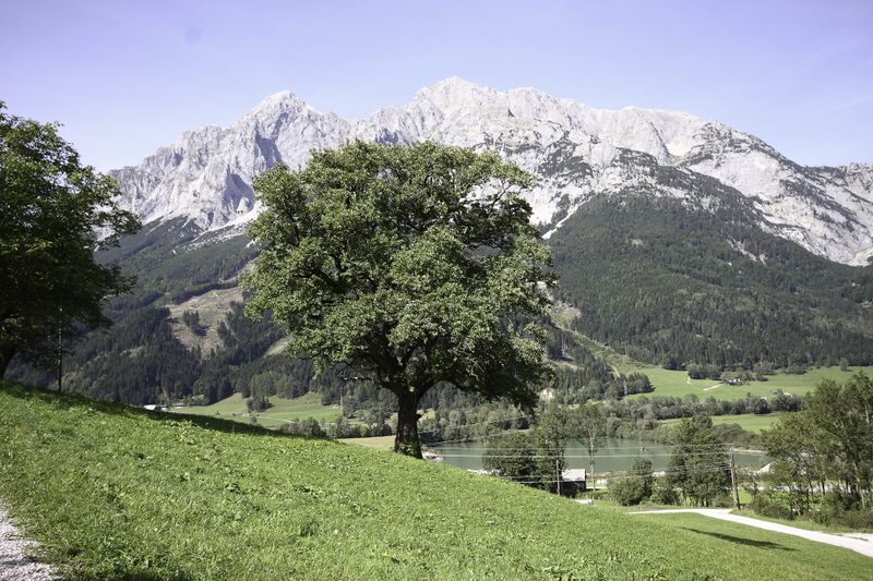 Datei:Vlg untereinöder bleiberg-10-2012-09-21.jpg