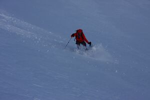 Waldhorntörl 45940 2014-03-12.jpg