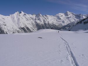 Wildkar 2589 2007-03-11.jpg