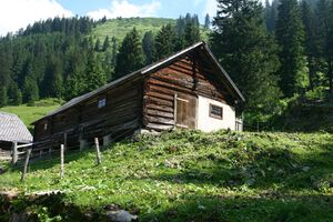 Winkleralm 2558 13-07-09.JPG