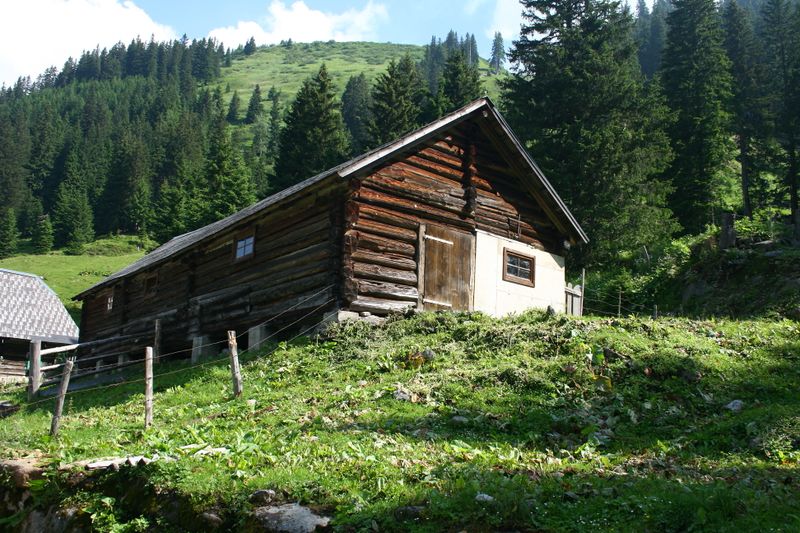 Datei:Winkleralm 2558 13-07-09.JPG