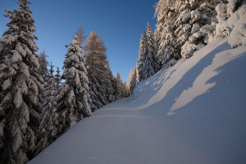 Datei:Zur ob.moseralm-preunegg 94327 2007-11-28.jpg