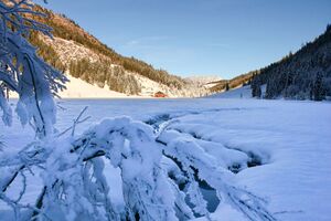 Bodensee 26518 2014-01-01.jpg