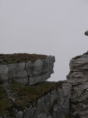 Brotrinnl 18507 2006-09-25.jpg